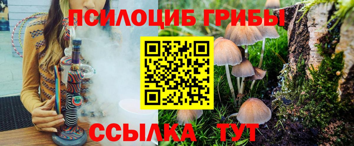 Галлюциногенные грибы Magic Shrooms  Псилоцибиновые грибы Cubensis  Вход с VPN  Елабуга 